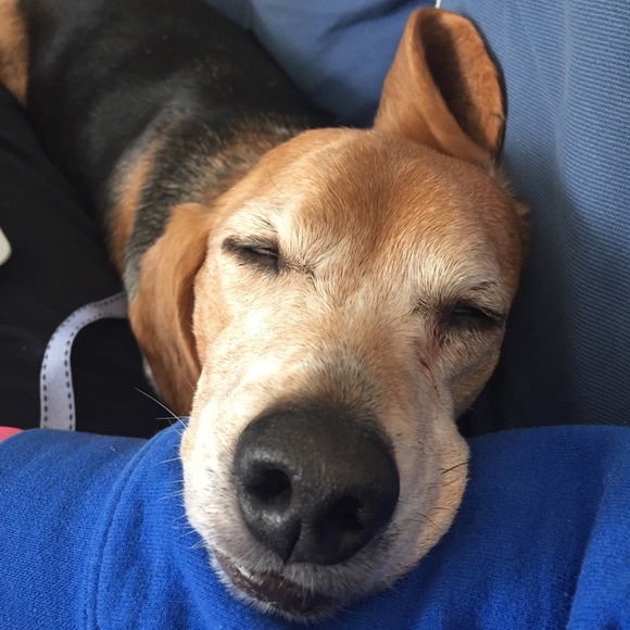 Meet your Posher, Pam - Picture 4 of 8